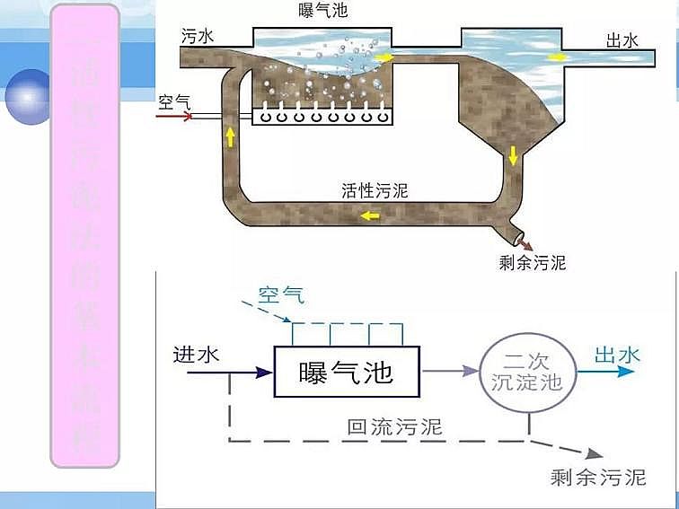 2020PPT෨ԭӦ