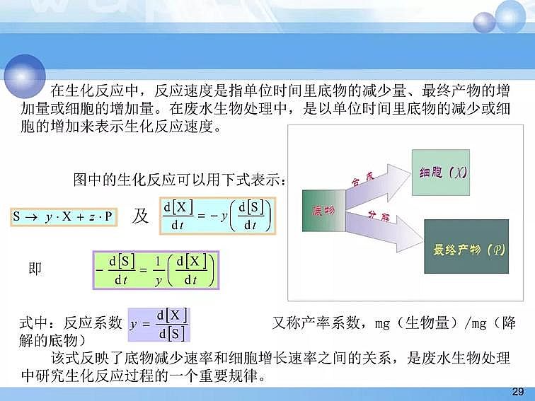 2020PPT෨ԭӦ