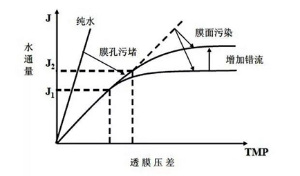 2022年滤料海绵铁厂家超滤膜污堵的原因以及对系统造成的危害