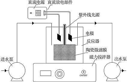 2022MBBR۸绯ѧĤȴˮˮо