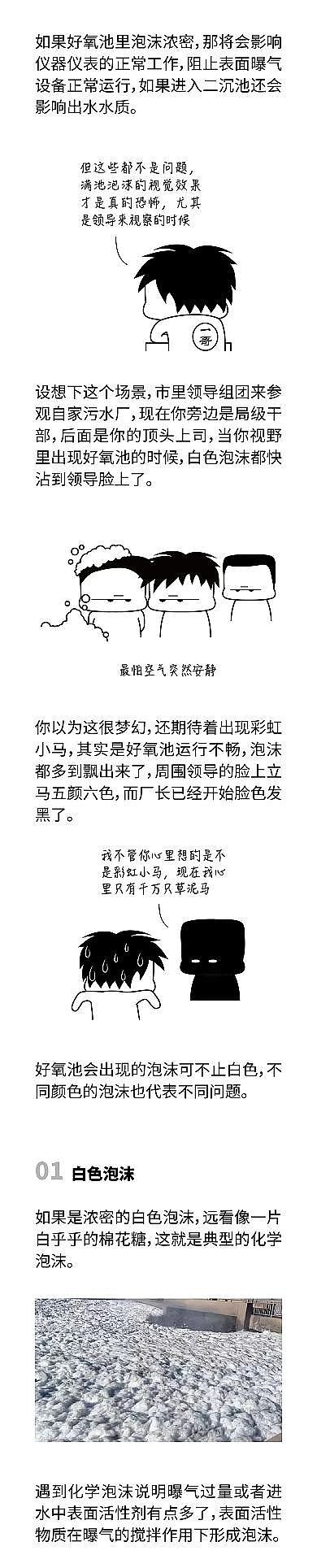 2022年粉末粉状活性炭价格曝气池泡沫飘满厂区后，我才分清每种泡沫的颜色