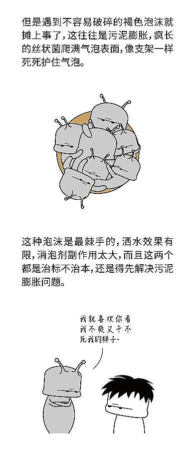 2022年粉末粉状活性炭价格曝气池泡沫飘满厂区后，我才分清每种泡沫的颜色