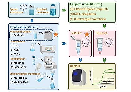 节能瓷球稀土瓷砂滤料生产厂家污水中新冠病毒检测方法评估